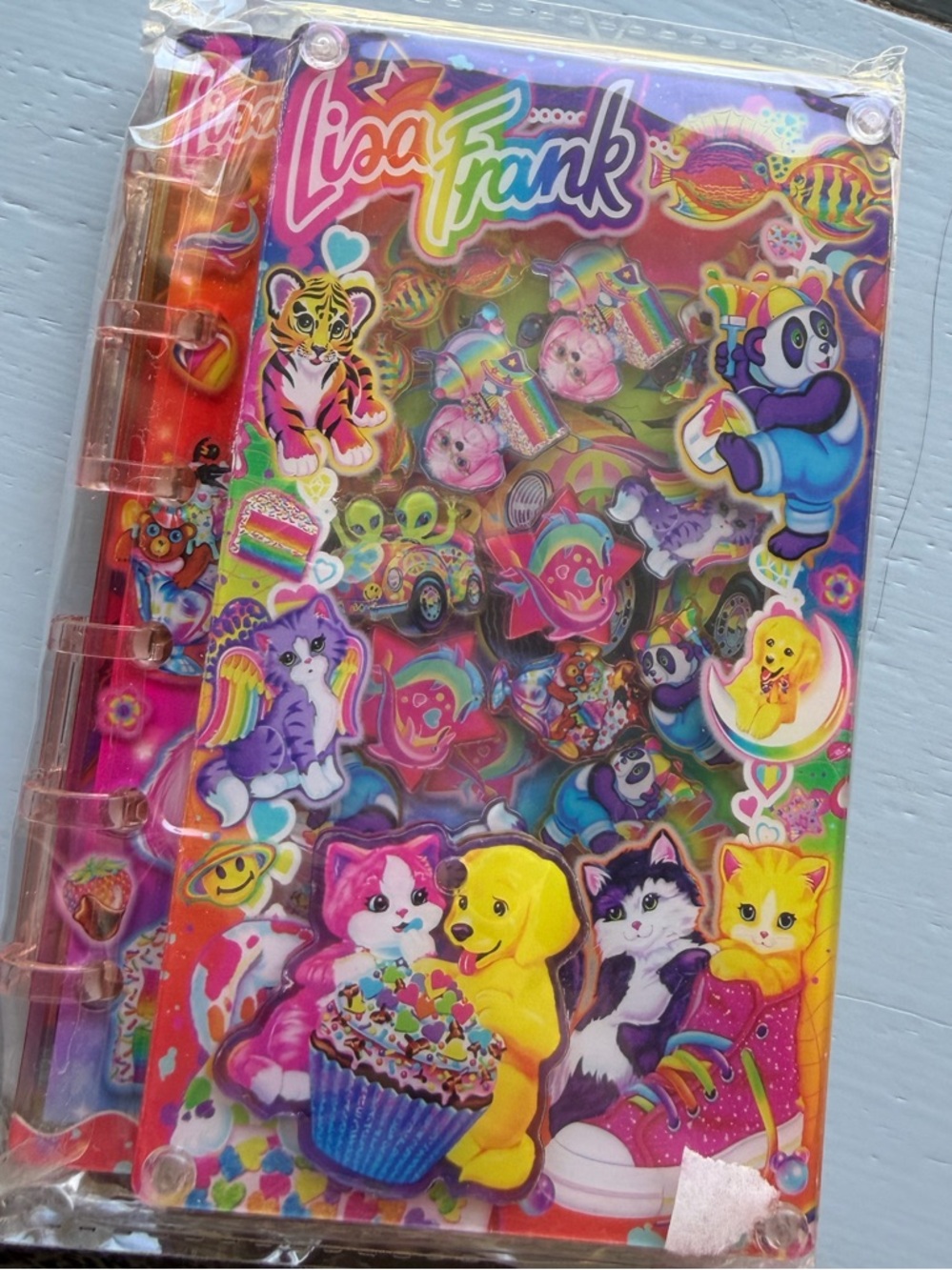 Lisa Frank Neon Rainbow Small Acrylic Shaker Notebook